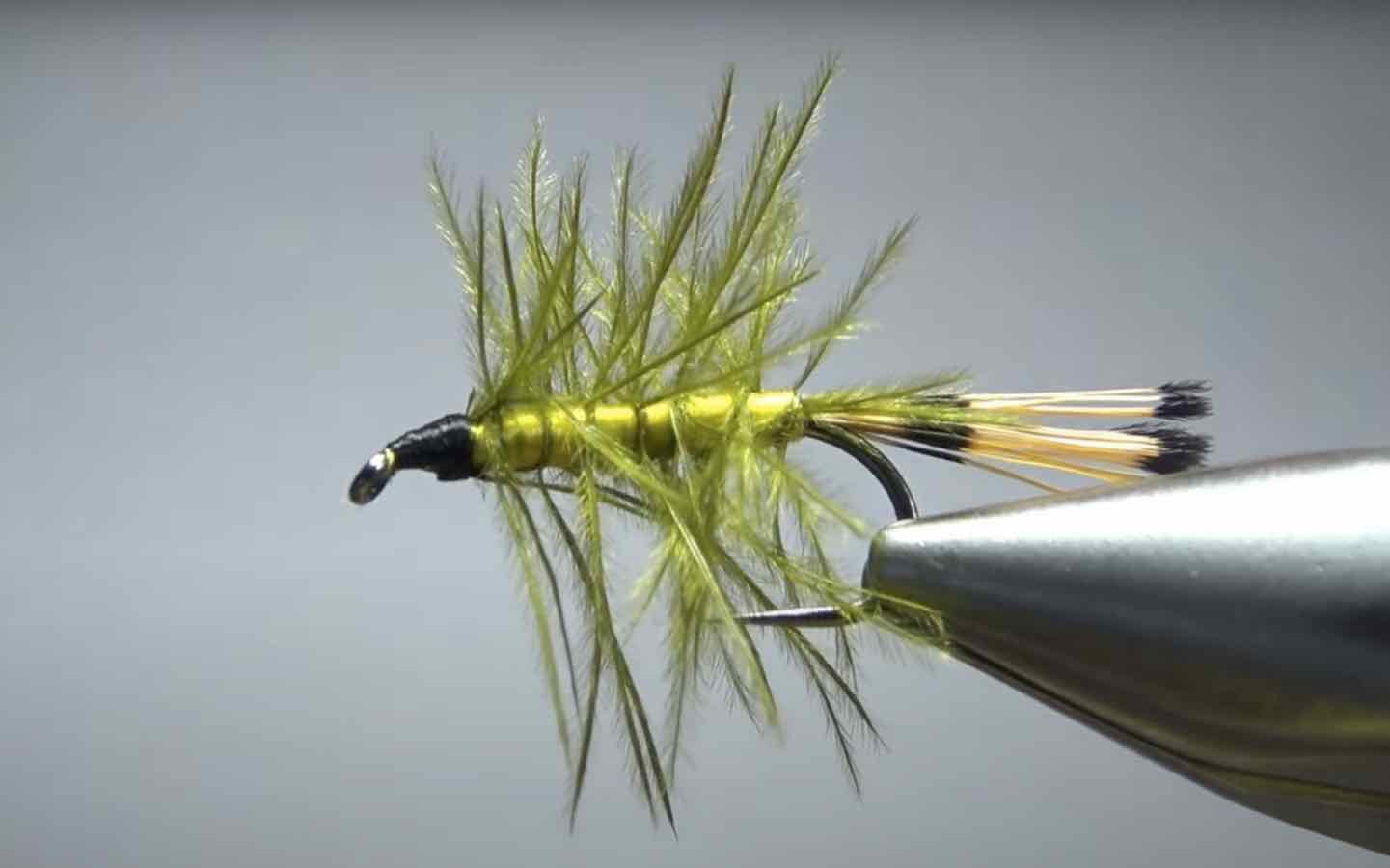 Tying Tuesday The Easy Yellerhammer Nymph Portal4sport